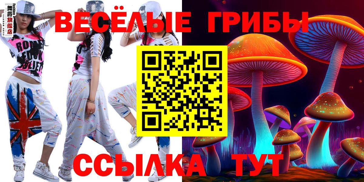 Тула  Галлюциногенные грибы Cubensis  Вход с VPN 